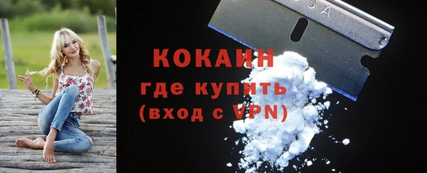 a pvp Магас