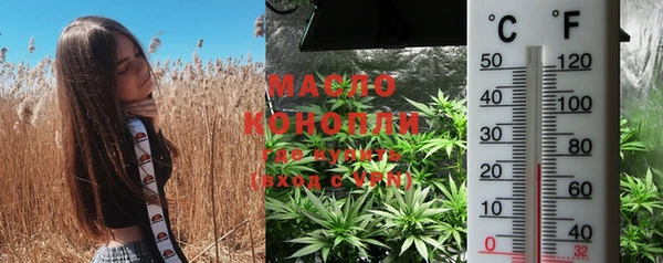 мдпв Майский