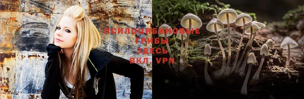 a pvp Магас