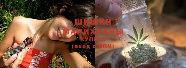 мдпв Майский