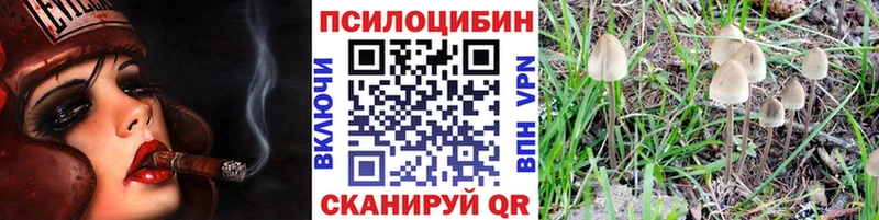 Галлюциногенные грибы мицелий  Купить где  Нолинск 