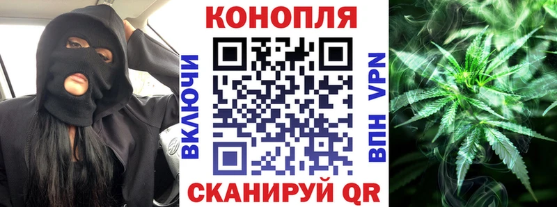 Купить  Нолинск  Канабис план 